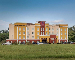  Comfort Suites near Tanger Outlet Mall  Гонзалес